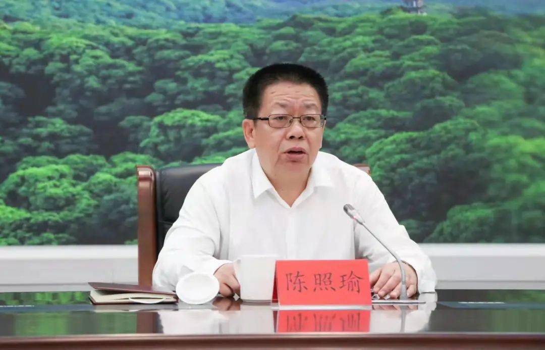 办公室365,解锁高效工作新境界的讲解视频指南 办公室365,解锁高效工作新境界的讲解视频指南