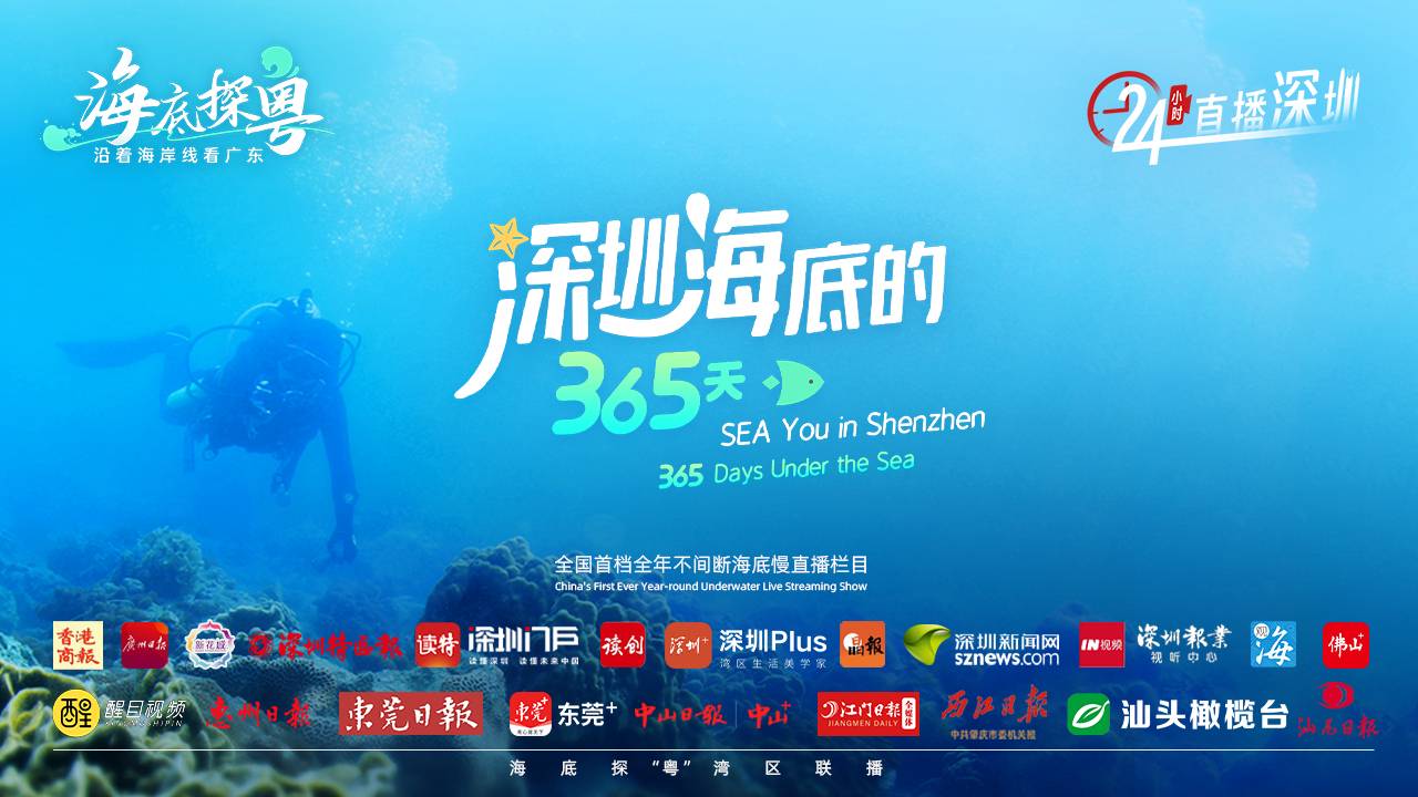 海上365天视频