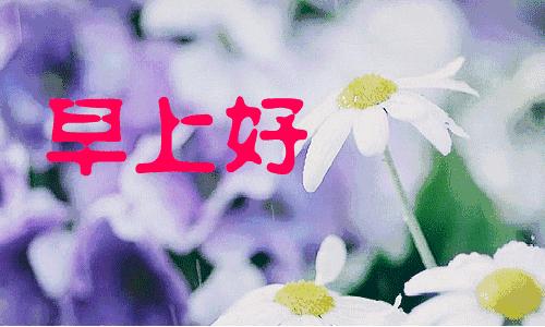 365里路视频铃声4K超清竖屏，一首老歌，换一种方式陪着你
