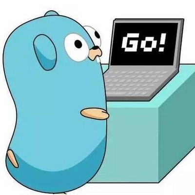 用Go语言做一周年纪念视频？365天的回忆，我用代码来装