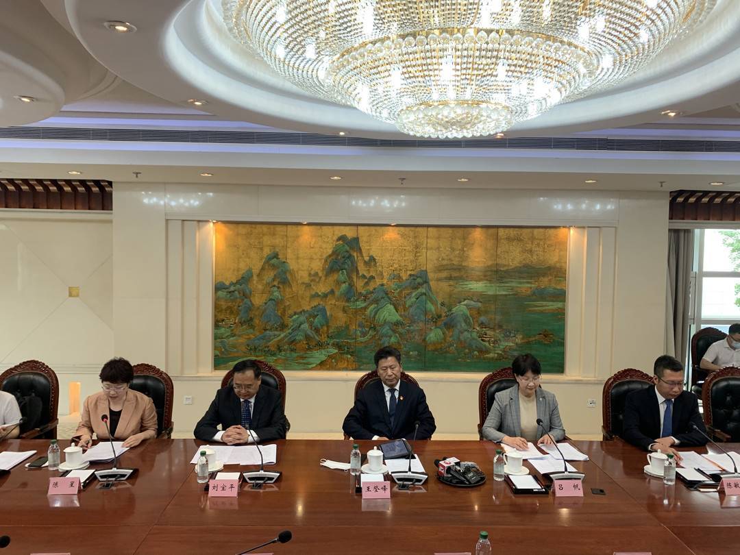 为什么h365格式视频打不开？我踩过的坑都在这儿了