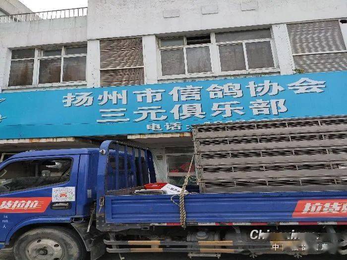 一年365天一天的视频，用Go语言把时间存进代码里