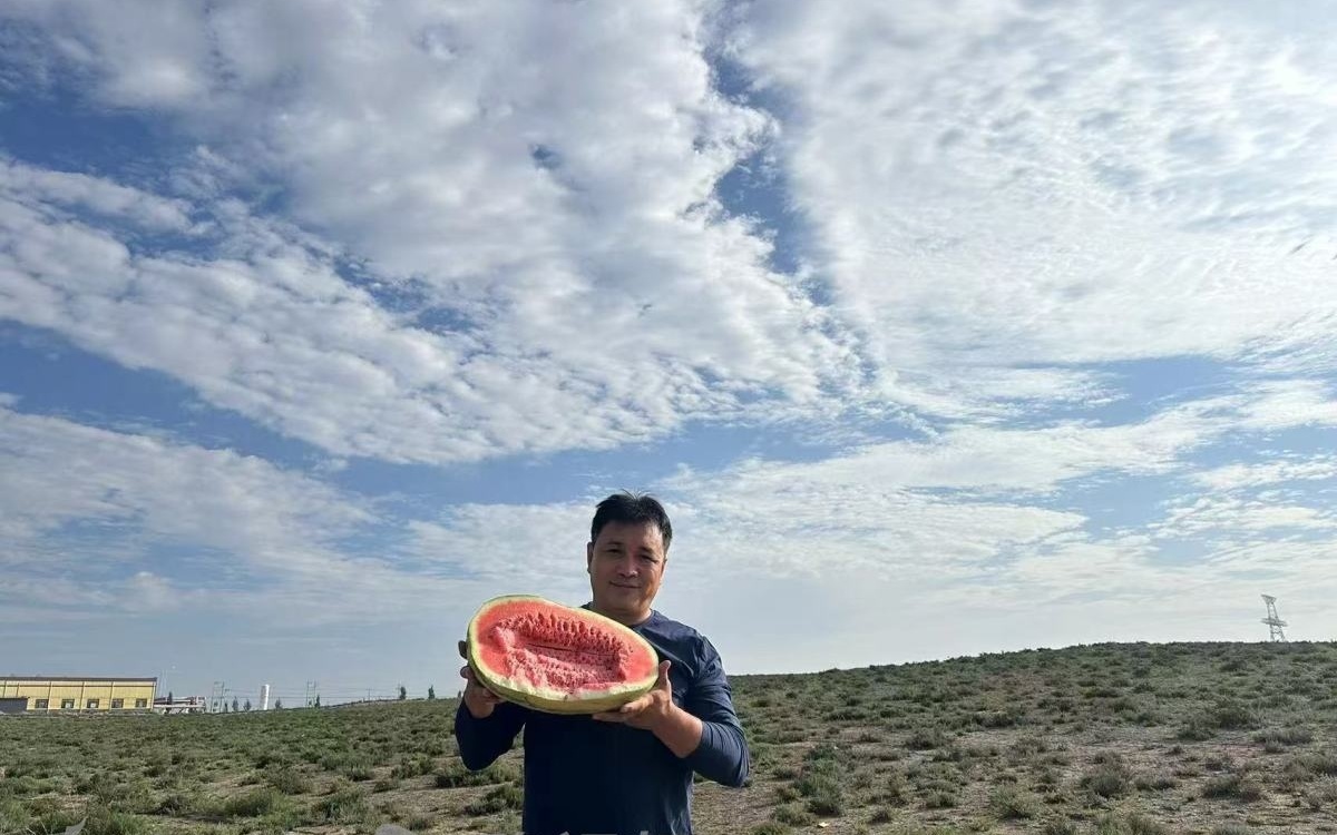 宁夏辟谣硒砂瓜滞销烂市的背后故事