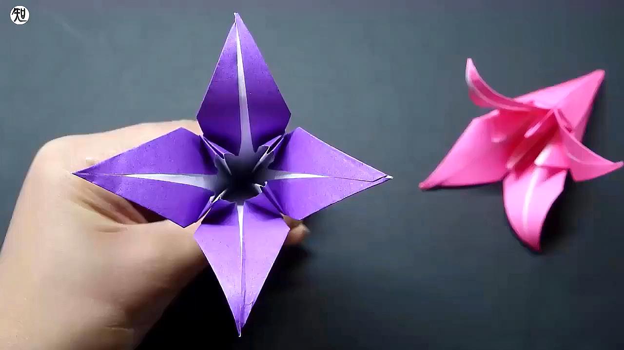 365天，一朵百合花，我的折纸视频观察日记